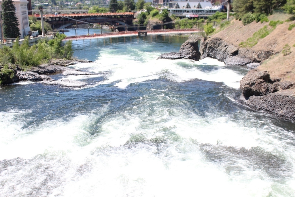 photo of bridge and waterfall
